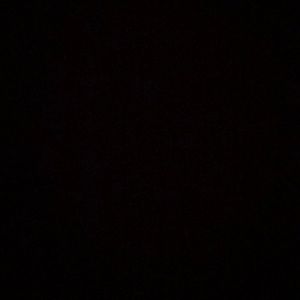 Meet your Posher, Ava